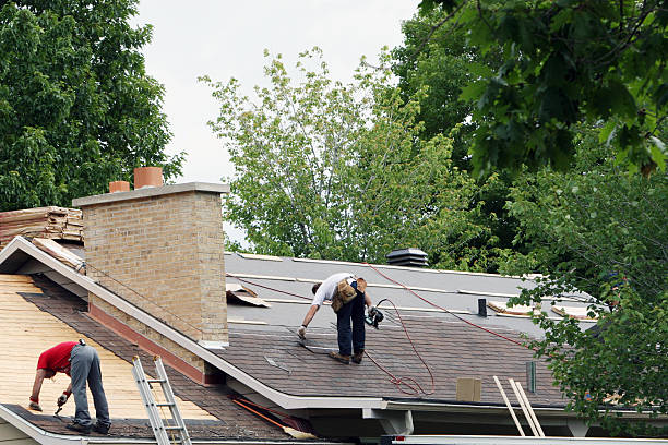 Best Storm Damage Roof Repair  in Hotchkiss, CO